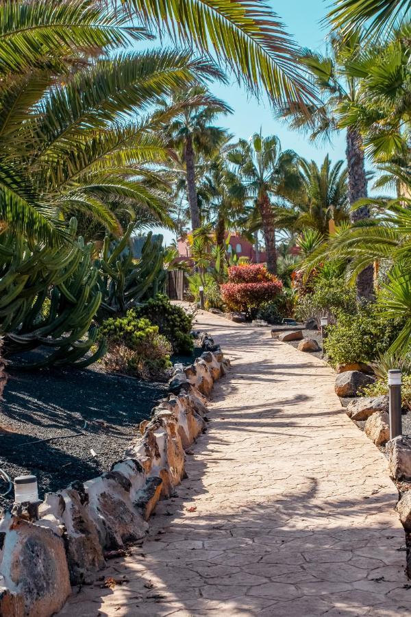 Oasis Fuerteventura Beach Apartments Corralejo Extérieur photo